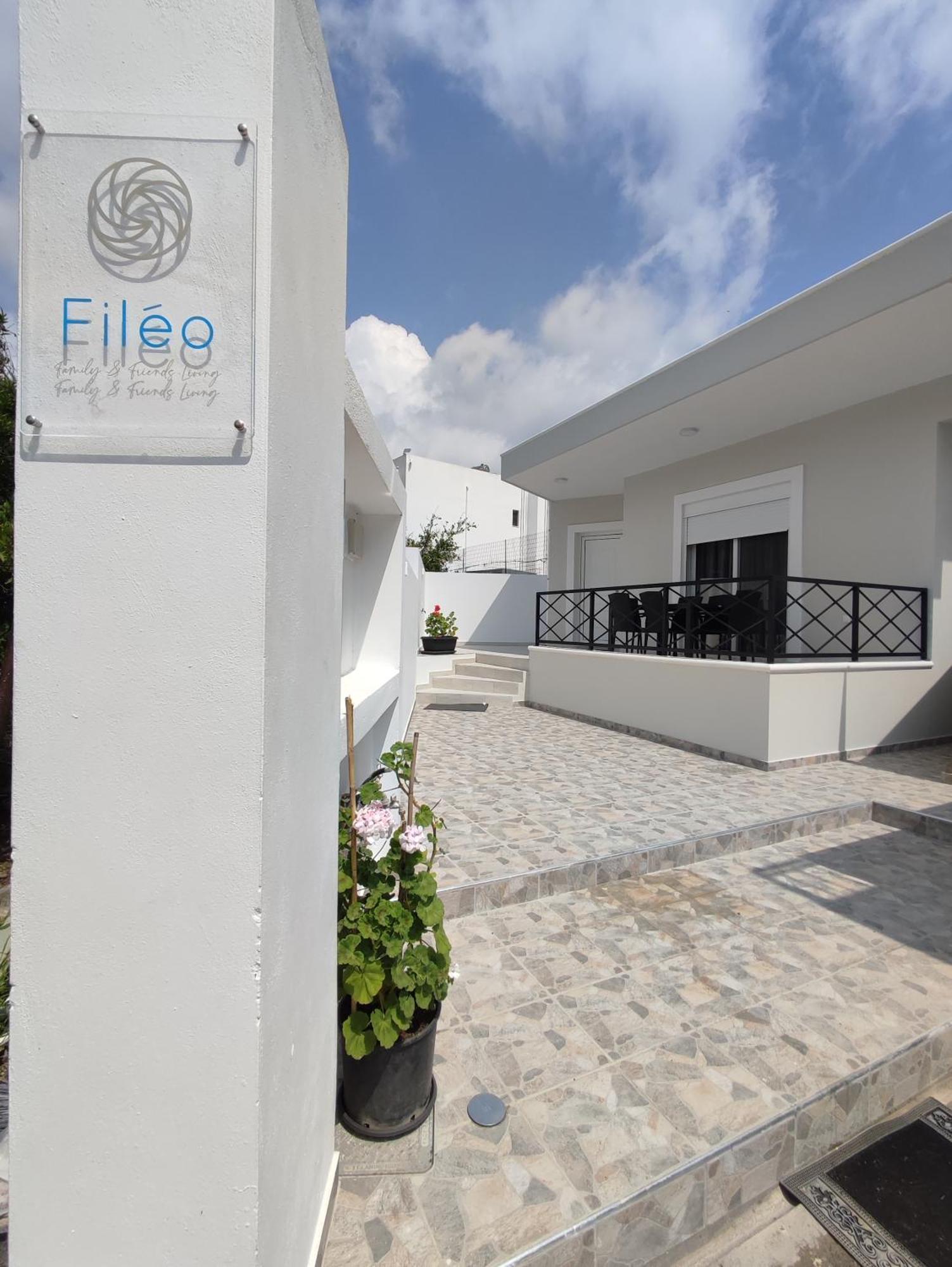 Fileo Family And Friends Living Villa Archangelos  Dış mekan fotoğraf